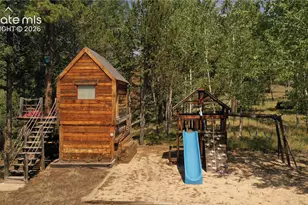 521 Woodrock Way, Divide, CO 80814 - Photo 38