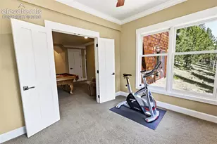 521 Woodrock Way, Divide, CO 80814 - Photo 32