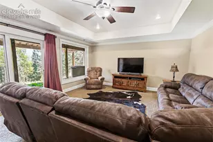 521 Woodrock Way, Divide, CO 80814 - Photo 28