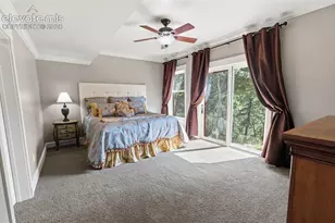 521 Woodrock Way, Divide, CO 80814 - Photo 34