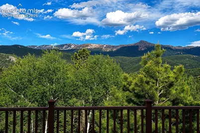 521 Woodrock Way, Divide, CO 80814 - Photo 4