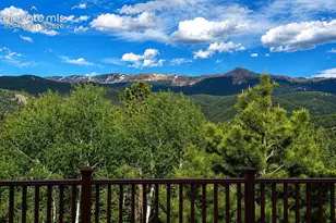 521 Woodrock Way, Divide, CO 80814 - Photo 4