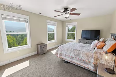 521 Woodrock Way, Divide, CO 80814 - Photo 24