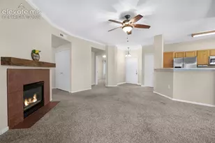 3831 Riviera Grove, Colorado Springs, CO 80922 - Photo 14