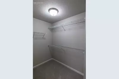 11395 Rill Point, Colorado Springs, CO 80921 - Photo 12