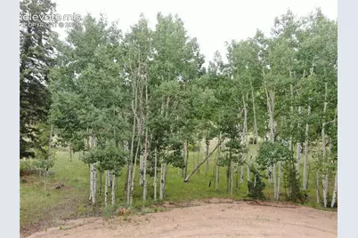76 Crocus Circle, Florissant, CO 80816 - Photo 6
