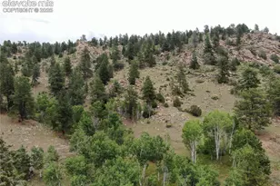 76 Crocus Cir, Florissant, CO 80816 - Photo 1