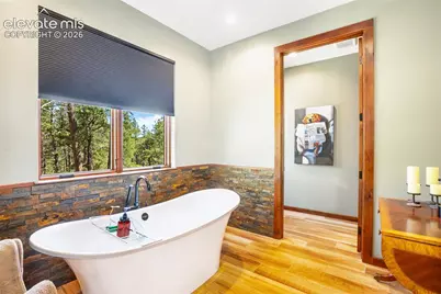 2754 County Road 421, Florissant, CO 80816 - Photo 10