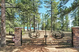 2754 County Rd 421, Florissant, CO 80816 - Photo 2
