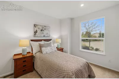 3311 Silver Pine Trail, Colorado Springs, CO 80920 - Photo 24