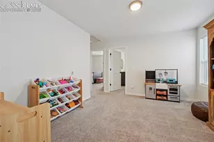 6382 Barr Pt, Colorado Springs, CO 80924 - Photo 16