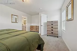 6382 Barr Pt, Colorado Springs, CO 80924 - Photo 20