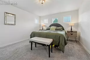 6382 Barr Pt, Colorado Springs, CO 80924 - Photo 22