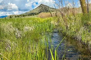 11105 Co Rd 102, Guffey, CO 80820 - Photo 26