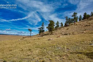 1888 Lakeview Dr, Lake George, CO 80827 - Photo 32
