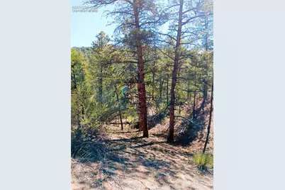 Tr-21 43rd Trail, Cotopaxi, CO 81223 - Photo 4