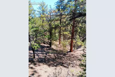 Tr-21 43rd Trail, Cotopaxi, CO 81223 - Photo 2