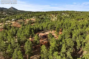 1110 Pikes Peak Dr, Florissant, CO 80816 - Photo 36