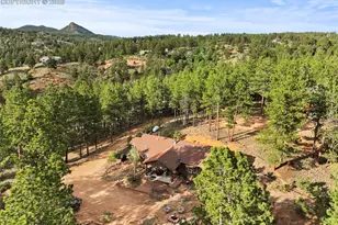 1110 Pikes Peak Dr, Florissant, CO 80816 - Photo 44