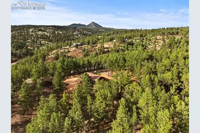 1110 Pikes Peak Drive, Florissant, CO 80816 - Photo 36