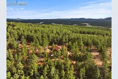 1110 Pikes Peak Drive, Florissant, CO 80816 - Photo 40