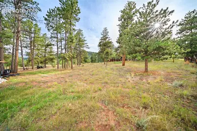 1869 County Road 21, Woodland Park, CO 80863 - Photo 26