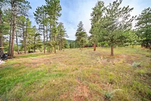 1869 Co Rd 21, Woodland Park, CO 80863 - Photo 26