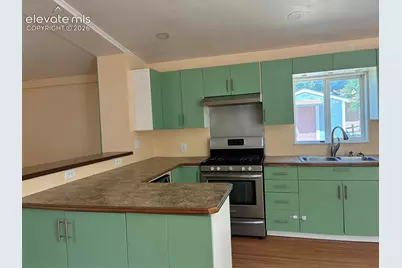 169 Daisy Street, Woodland Park, CO 80863 - Photo 24