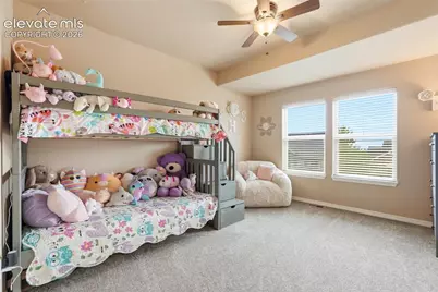 233 Coyote Willow Drive, Colorado Springs, CO 80921 - Photo 32