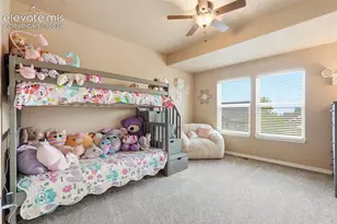 233 Coyote Willow Dr, Colorado Springs, CO 80921 - Photo 32
