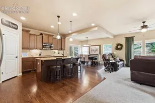 233 Coyote Willow Dr, Colorado Springs, CO 80921 - Photo 10
