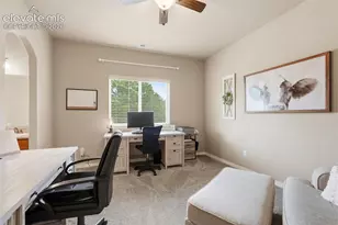 233 Coyote Willow Dr, Colorado Springs, CO 80921 - Photo 28