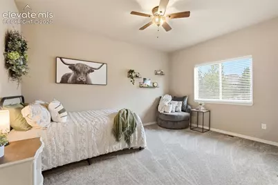 233 Coyote Willow Drive, Colorado Springs, CO 80921 - Photo 26