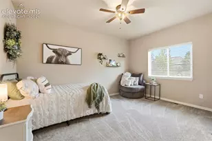 233 Coyote Willow Dr, Colorado Springs, CO 80921 - Photo 26