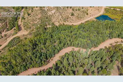 1034 Little Topsey Drive, Cripple Creek, CO 80813 - Photo 6