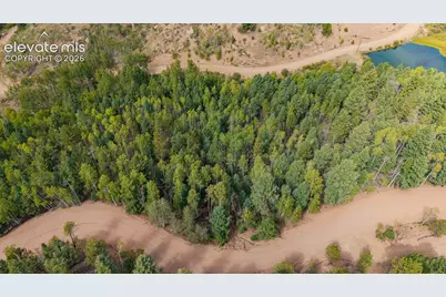 1034 Little Topsey Drive, Cripple Creek, CO 80813 - Photo 16