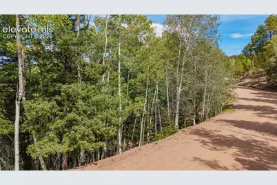 1034 Little Topsey Drive, Cripple Creek, CO 80813 - Photo 20