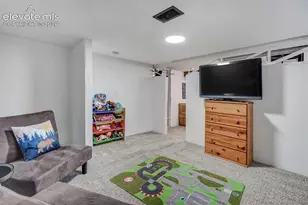 9955 Mesa Rd, Cascade, CO 80809 - Photo 40