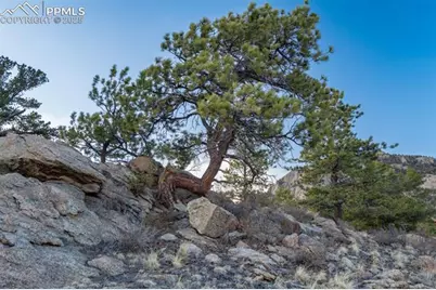 688 Tiara Drive, Lake George, CO 80827 - Photo 28