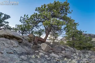 688 Tiara Dr, Lake George, CO 80827 - Photo 28