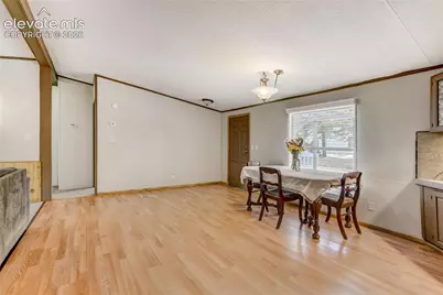 784 Blossom Road, Woodland Park, CO 80863 - Photo 8