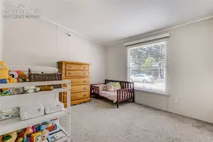 784 Blossom Rd, Woodland Park, CO 80863 - Photo 26