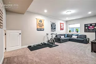 843 Redemption Point, Colorado Springs, CO 80905 - Photo 38