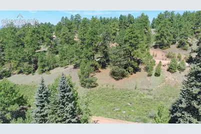 835 Spring Valley Lane, Florissant, CO 80816 - Photo 6