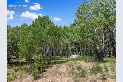 1054 Cantiberry Road, Divide, CO 80814 - Photo 14