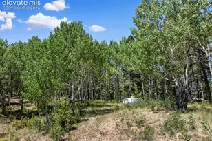 1054 Cantiberry Rd, Divide, CO 80814 - Photo 14