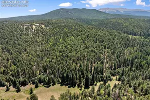 1054 Cantiberry Rd, Divide, CO 80814 - Photo 22