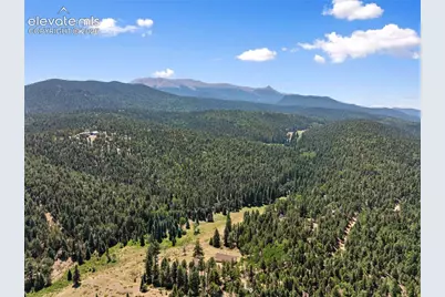 1054 Cantiberry Road, Divide, CO 80814 - Photo 8