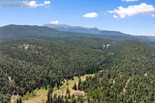 1054 Cantiberry Rd, Divide, CO 80814 - Photo 8