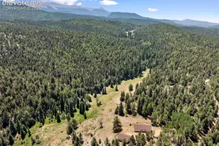 1054 Cantiberry Rd, Divide, CO 80814 - Photo 10